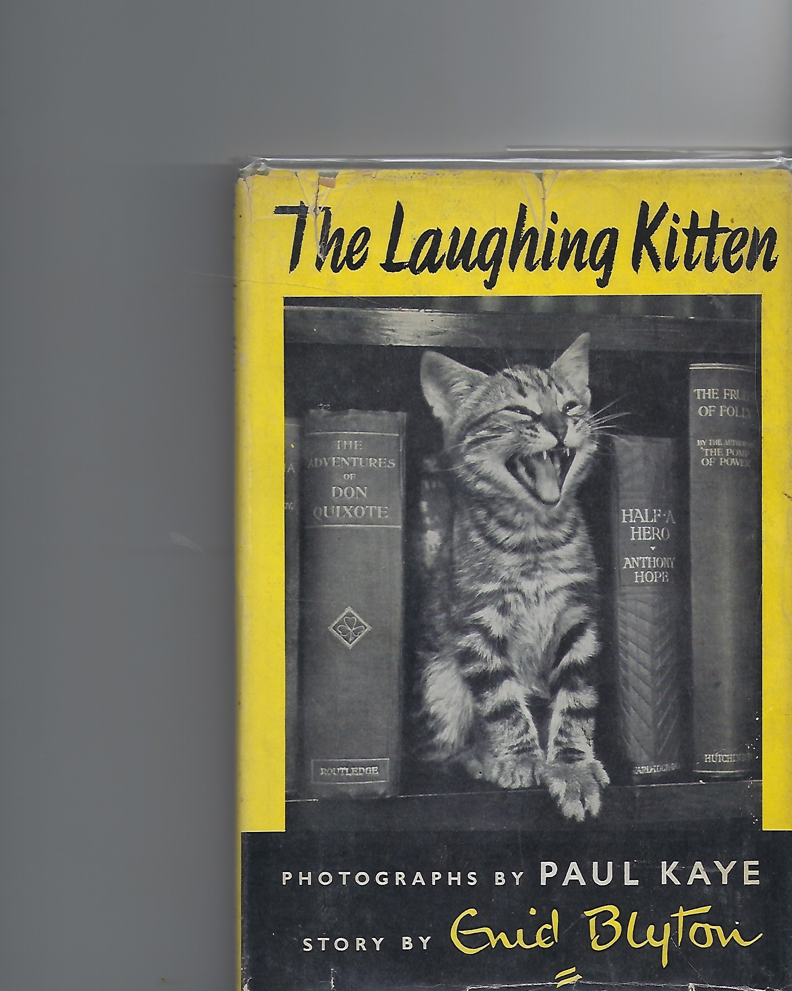 Image for The Laughing Kitten