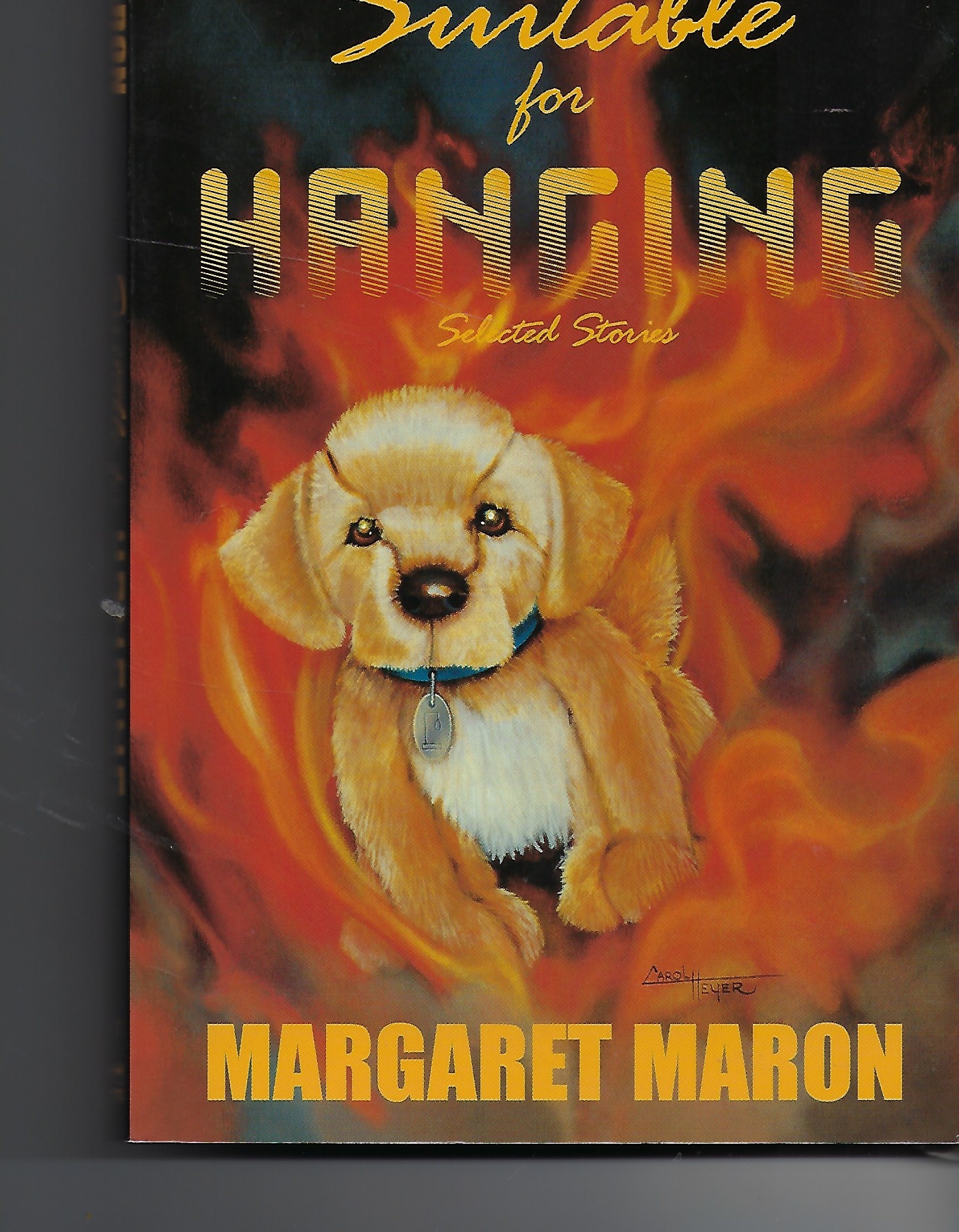 Image for Suitable for Hanging Selected Stories