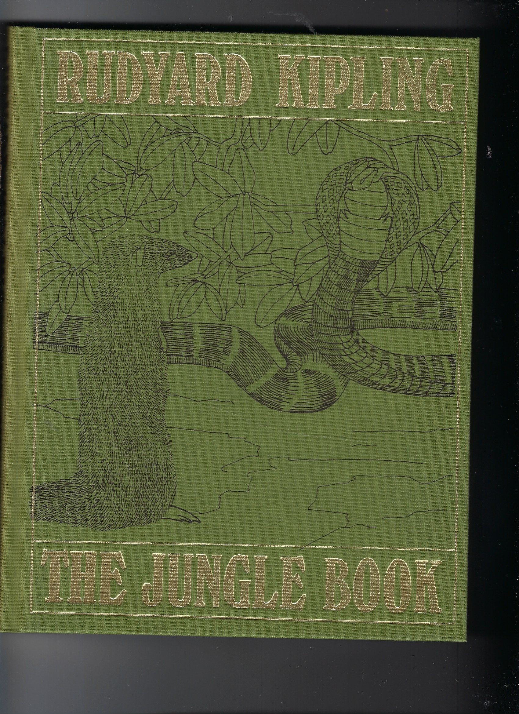 Image for The Jungle Book