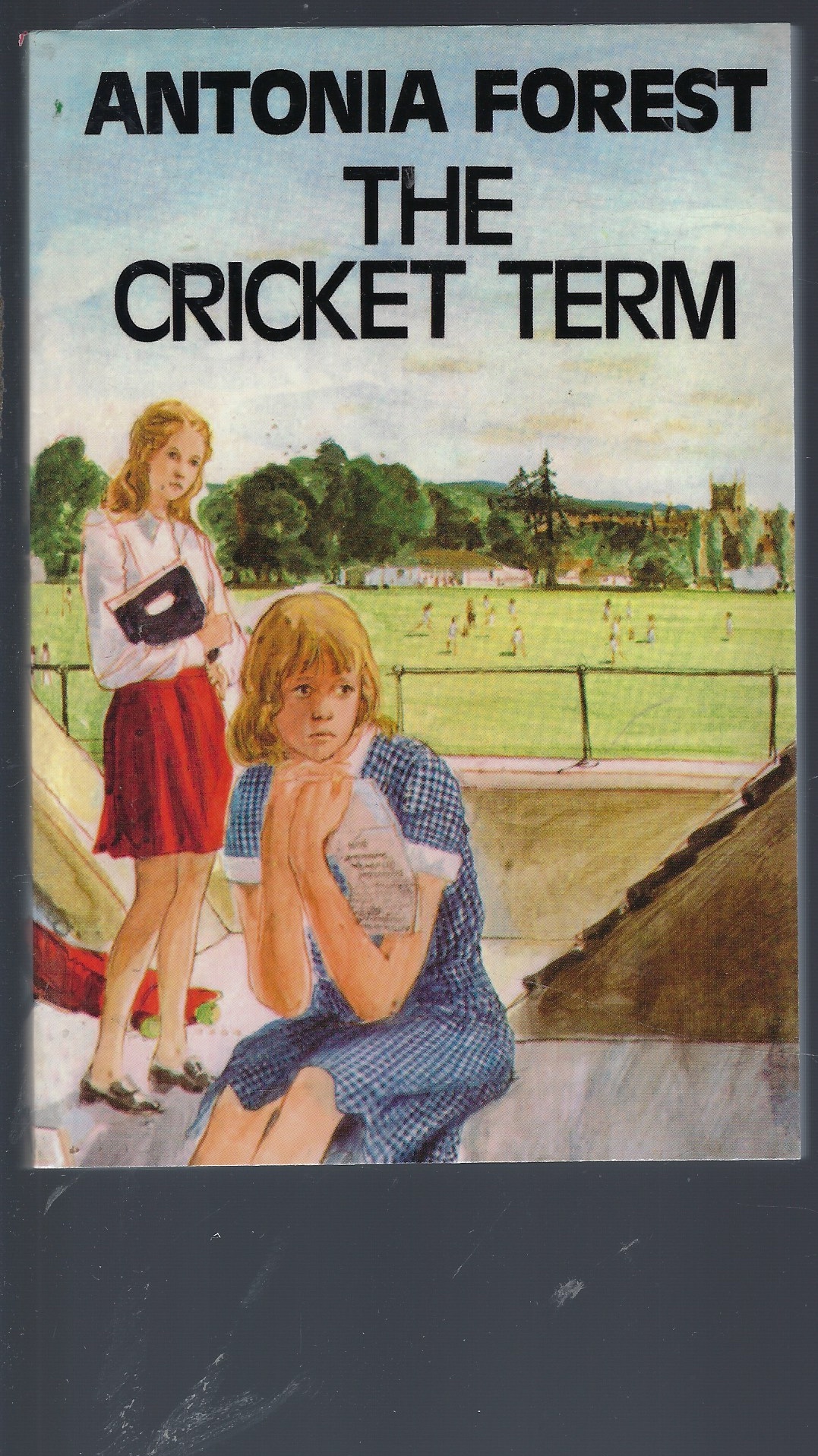 Image for The Cricket Term