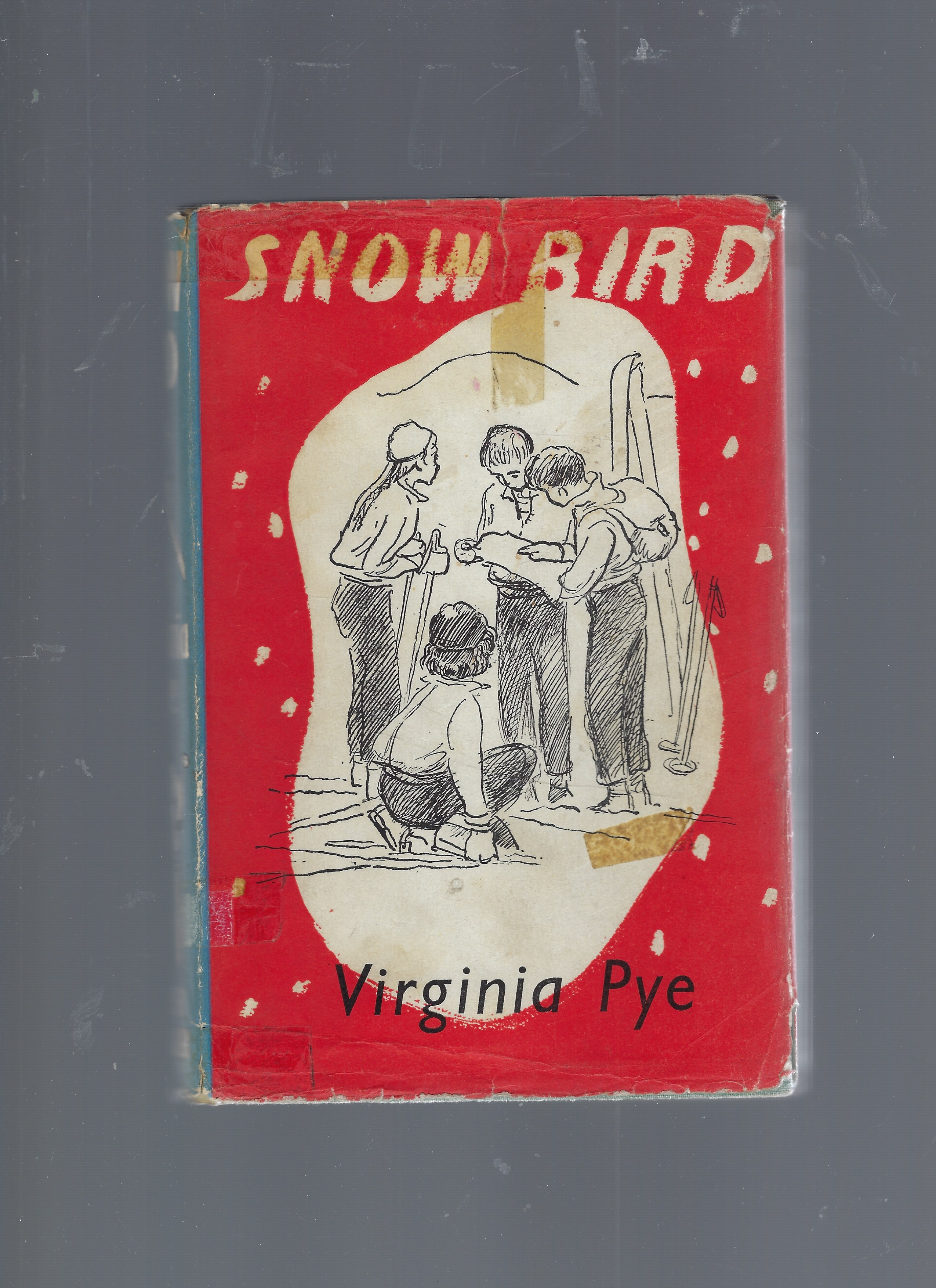 Snow Bird