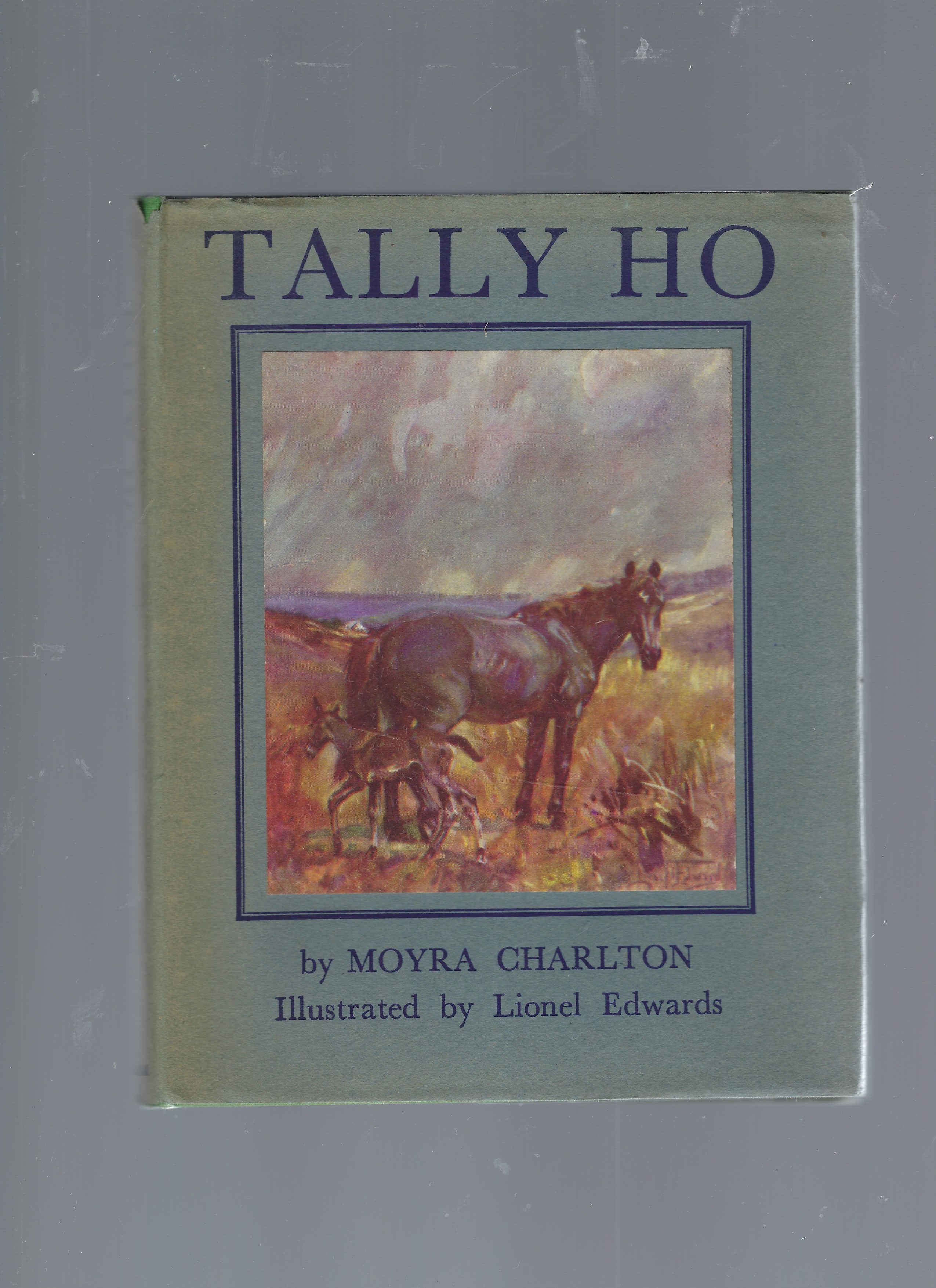 Tally Ho; The Story of an Irish Hunter