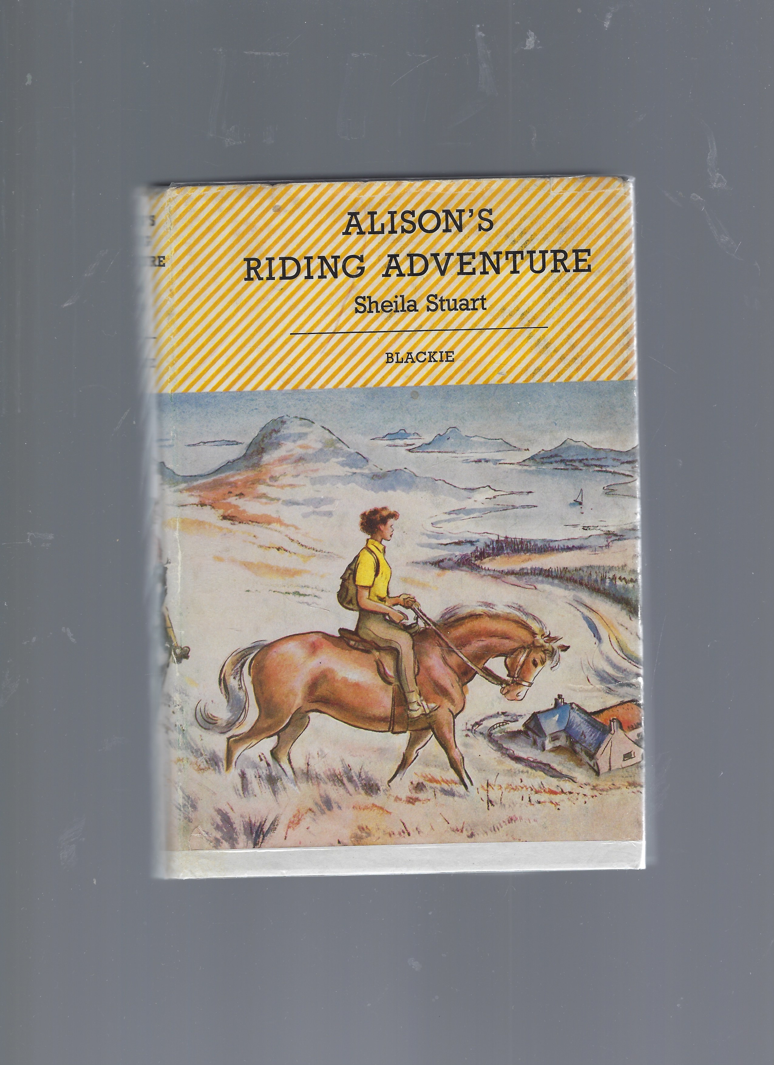 Image for Alison's Riding Adventure Alison's Riding Adventure