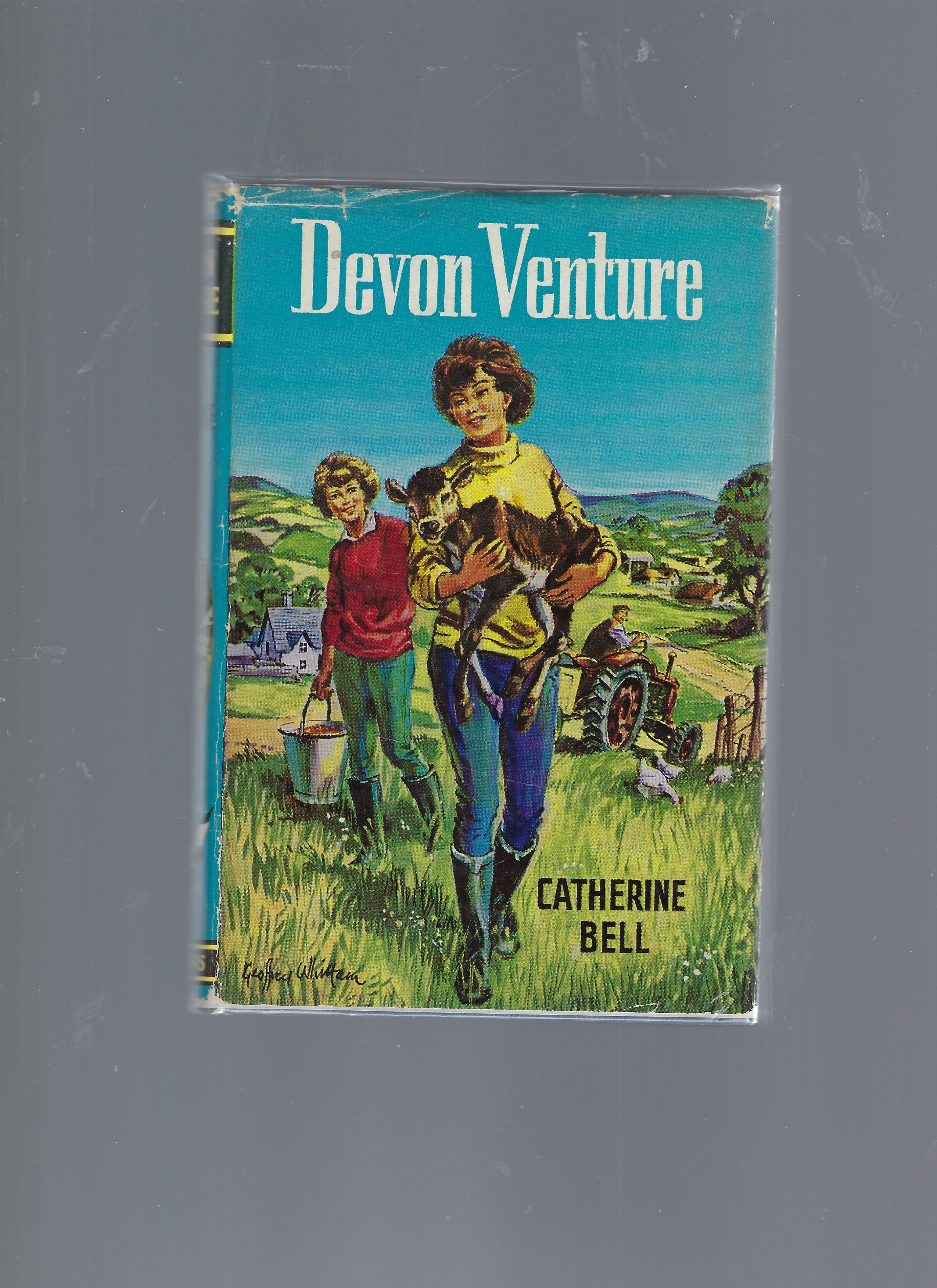Devon Venture
