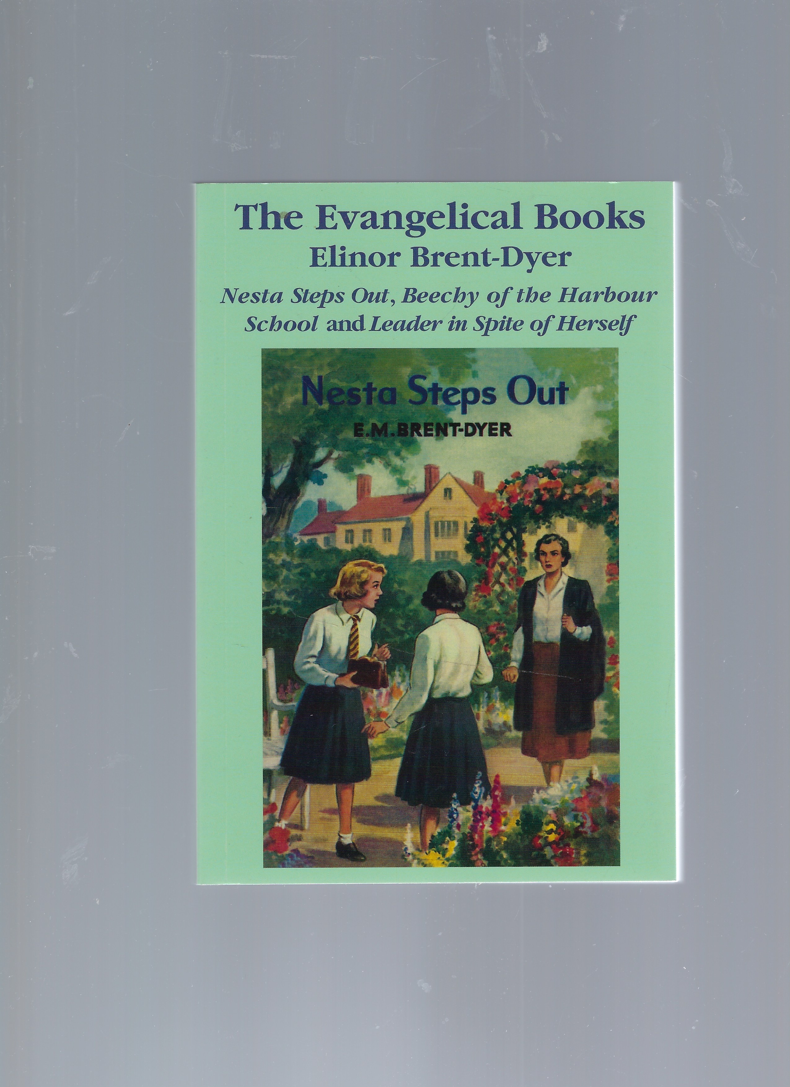 The Evangelical Books - Nesta Steps Out, Beechy of the Harbour School, Leader in Spite of Herself