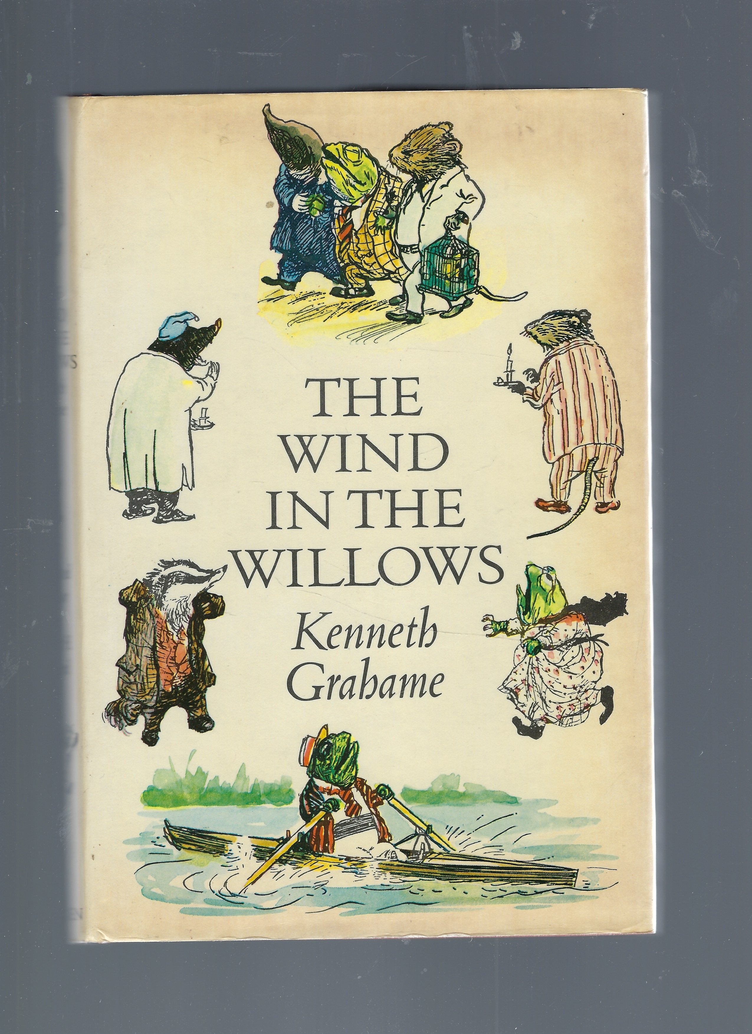 Image for The Wind in the Willows The Wind in the Willows