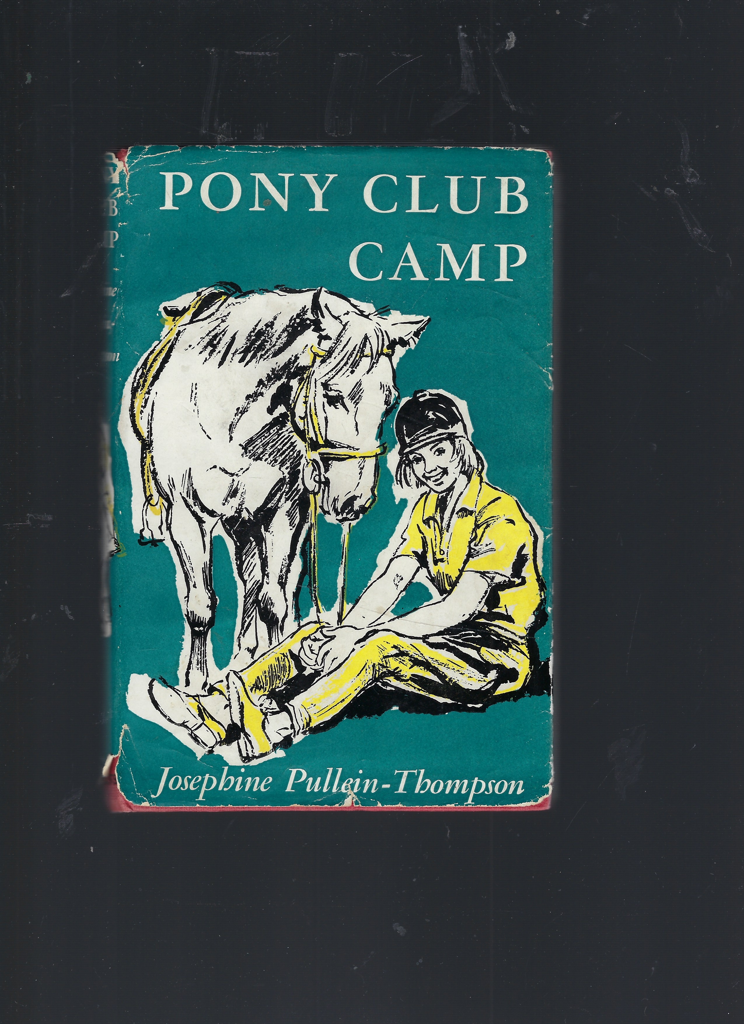 Pony Club Camp