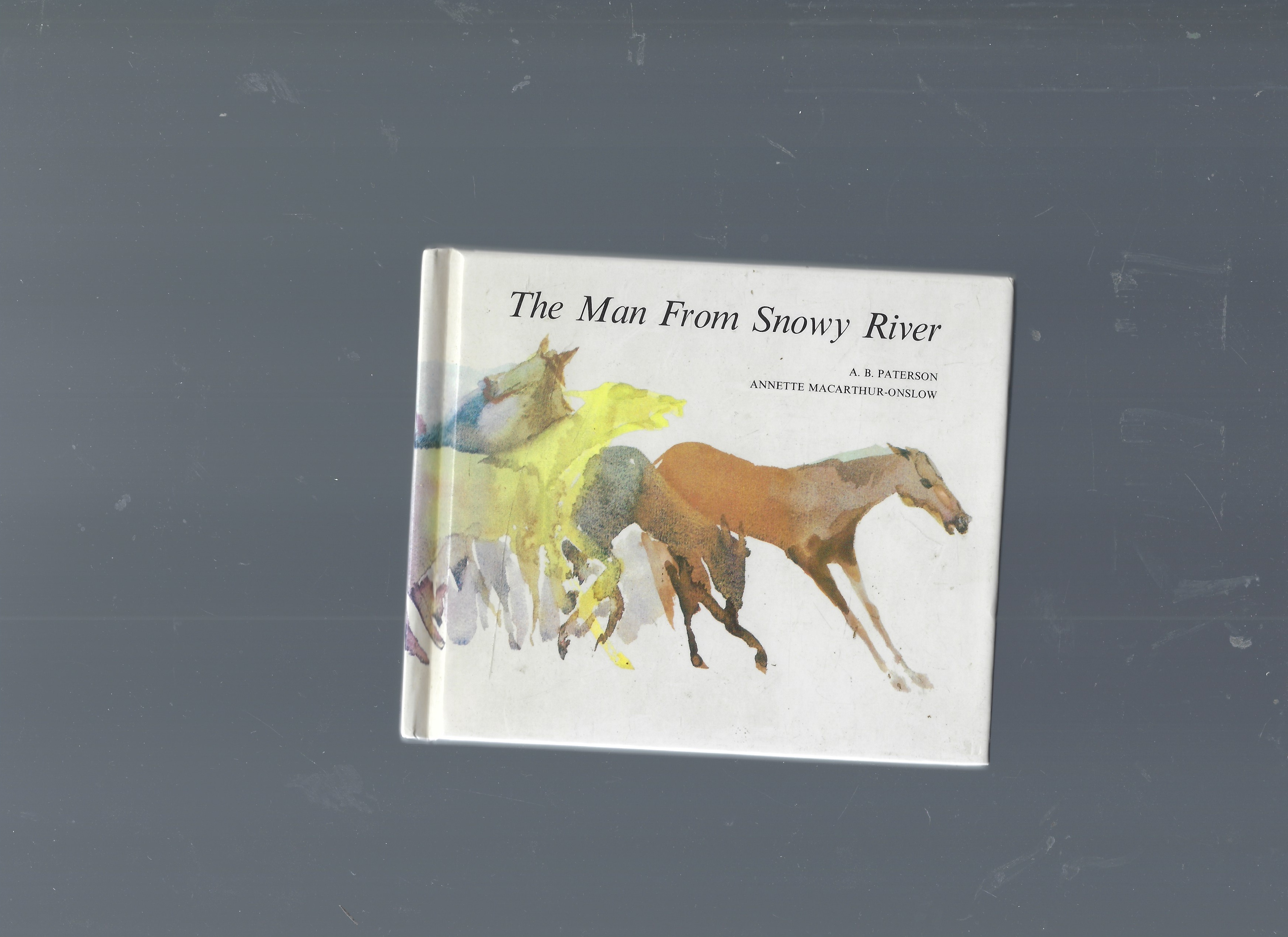 The Man from Snowy River