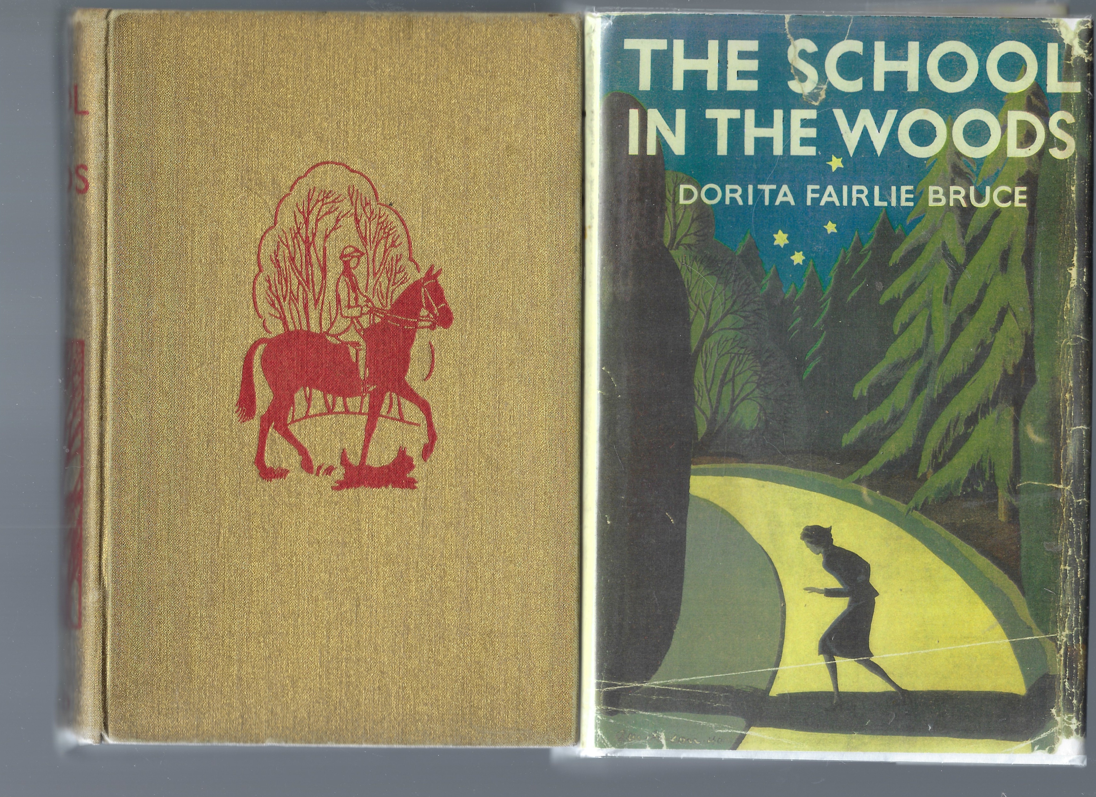 Image for The School in the Woods The School in the Woods
