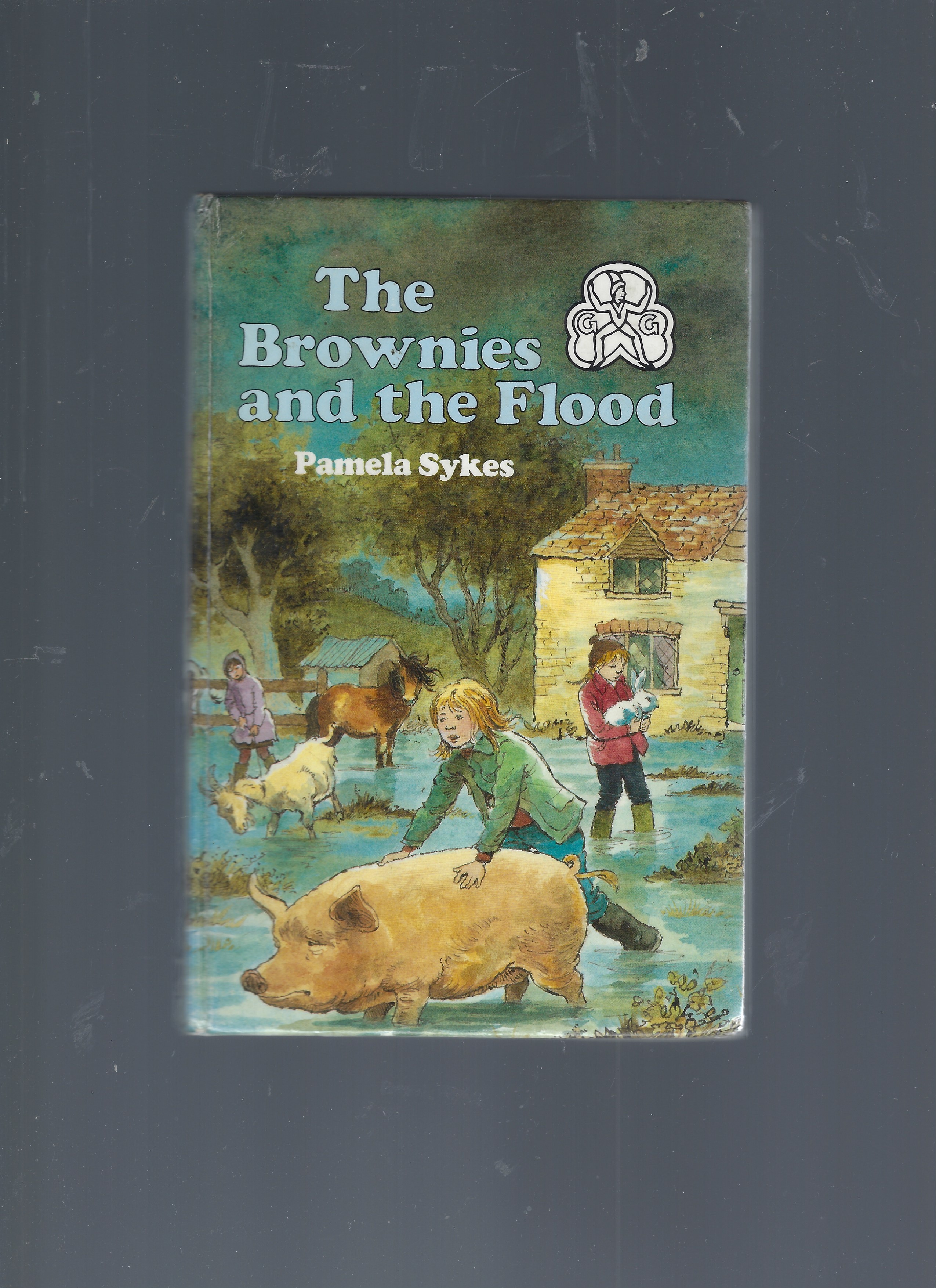 Image for The Brownies and the Flood The Brownies and the Flood