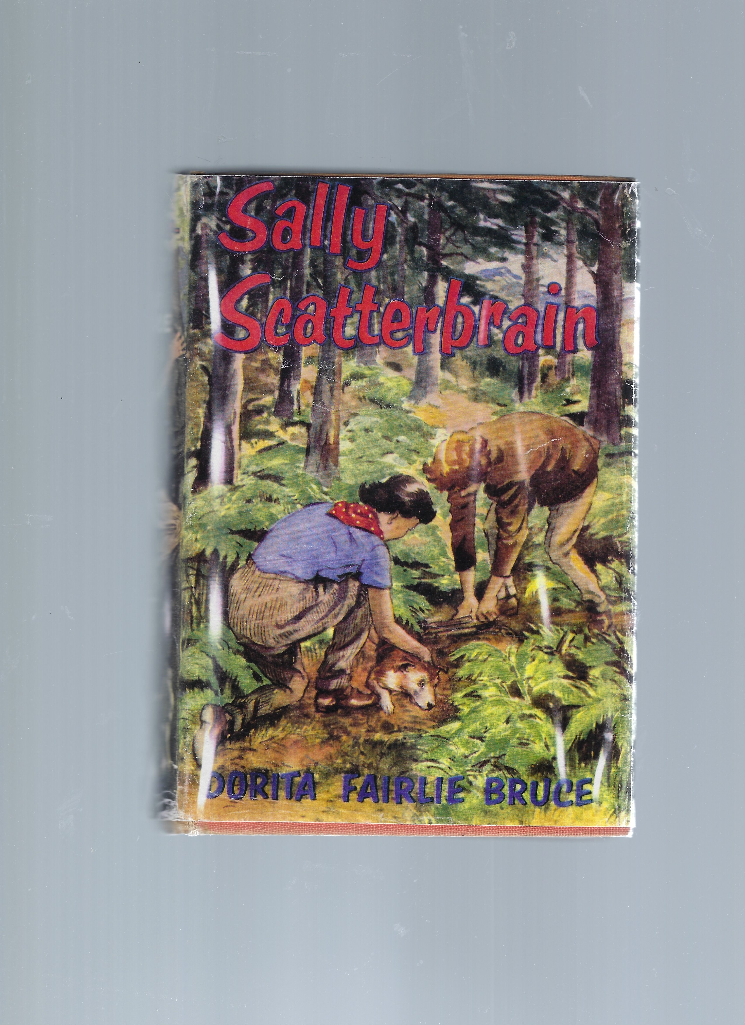 Image for Sally Scatterbrain Sally Scatterbrain