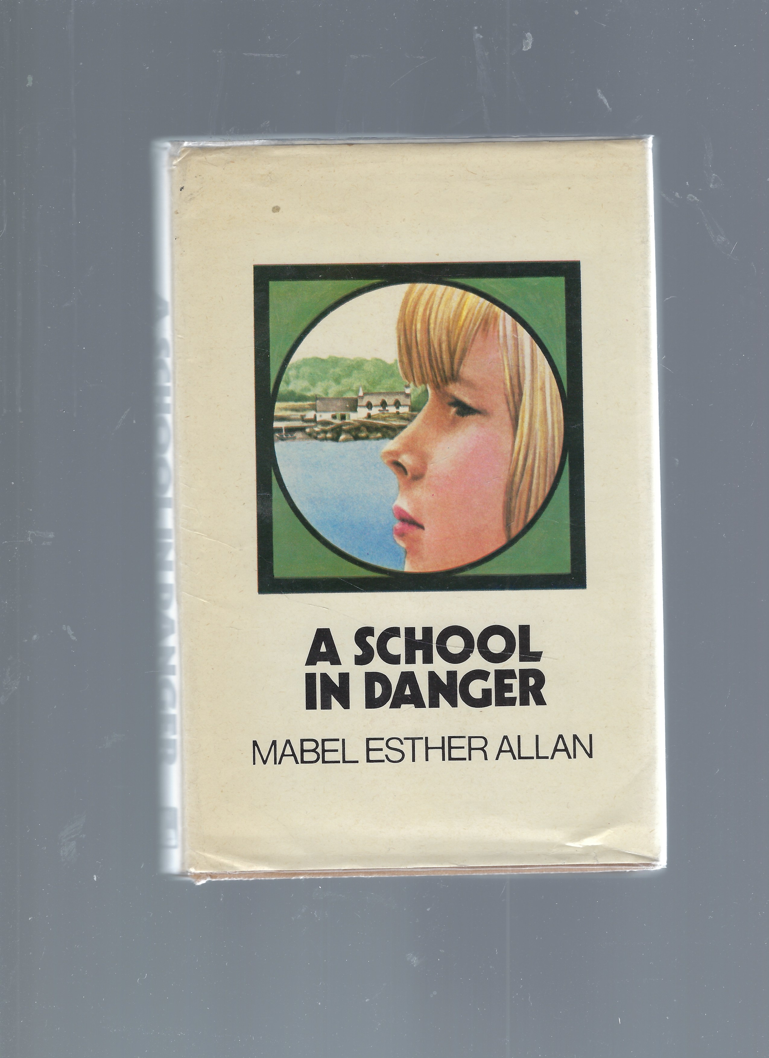 Image for School in Danger School in Danger