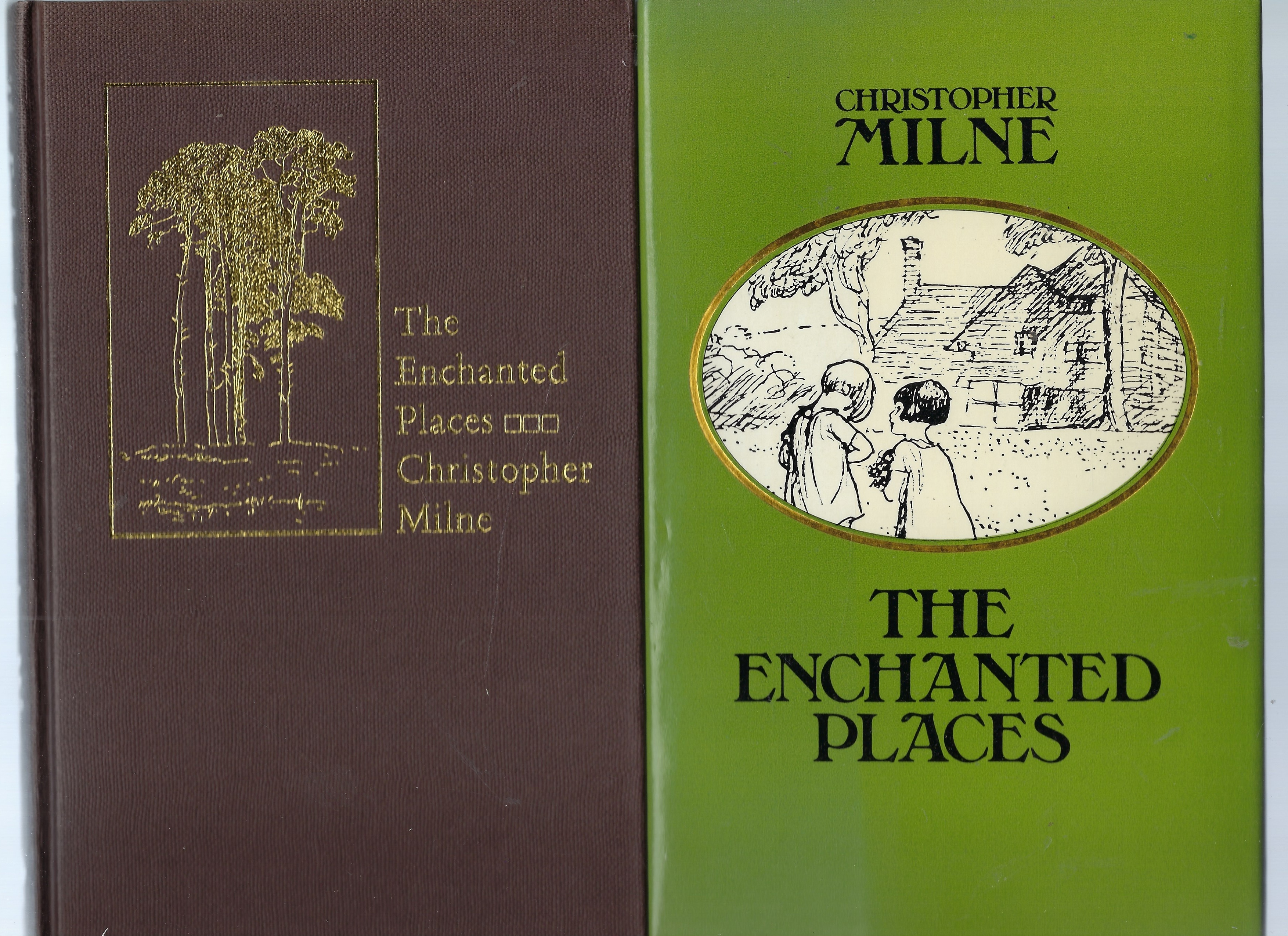 Image for The Enchanted Places The Enchanted Places
