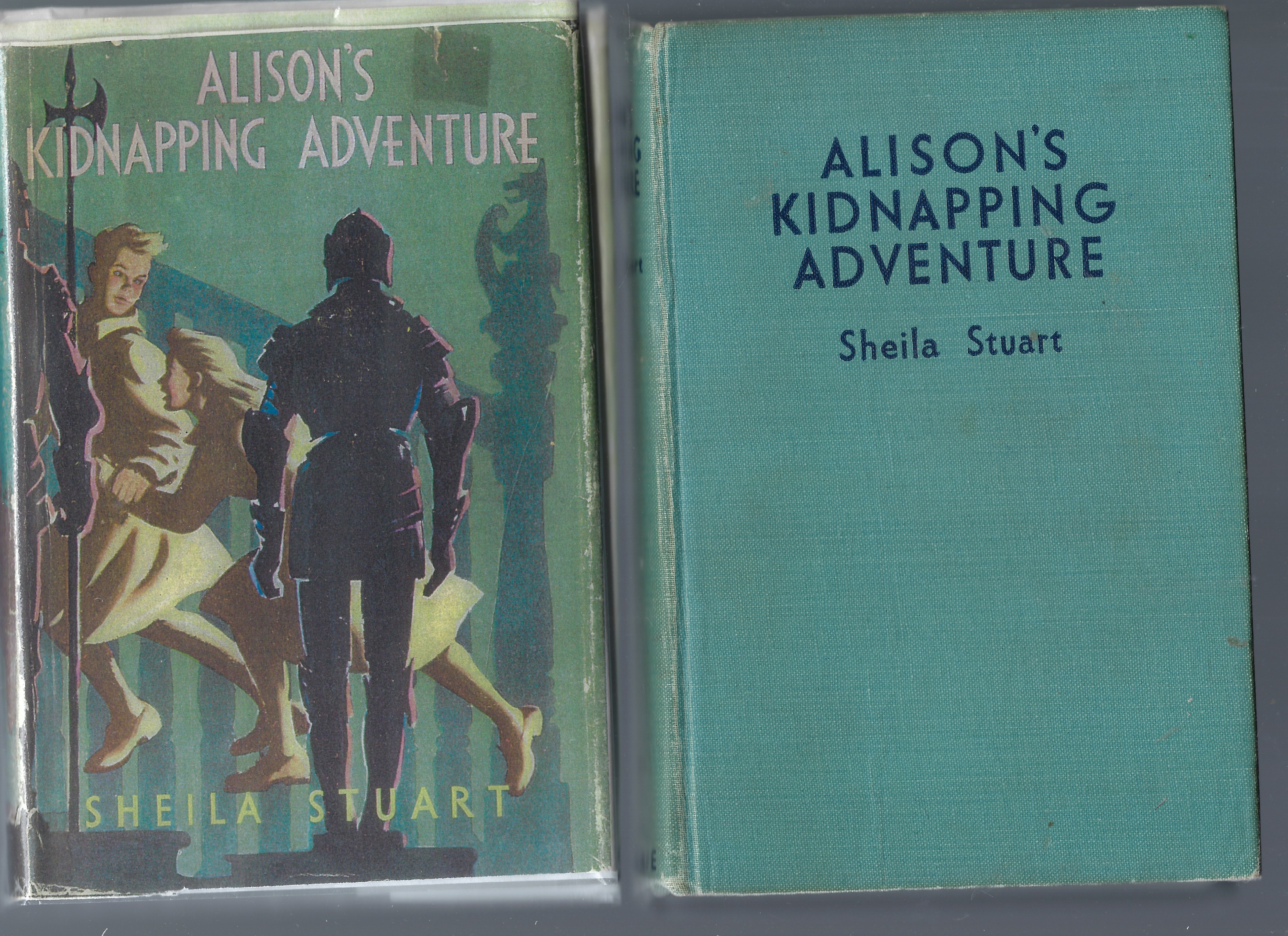 Image for Alison's Kidnapping Adventure Alison's Kidnapping Adventure