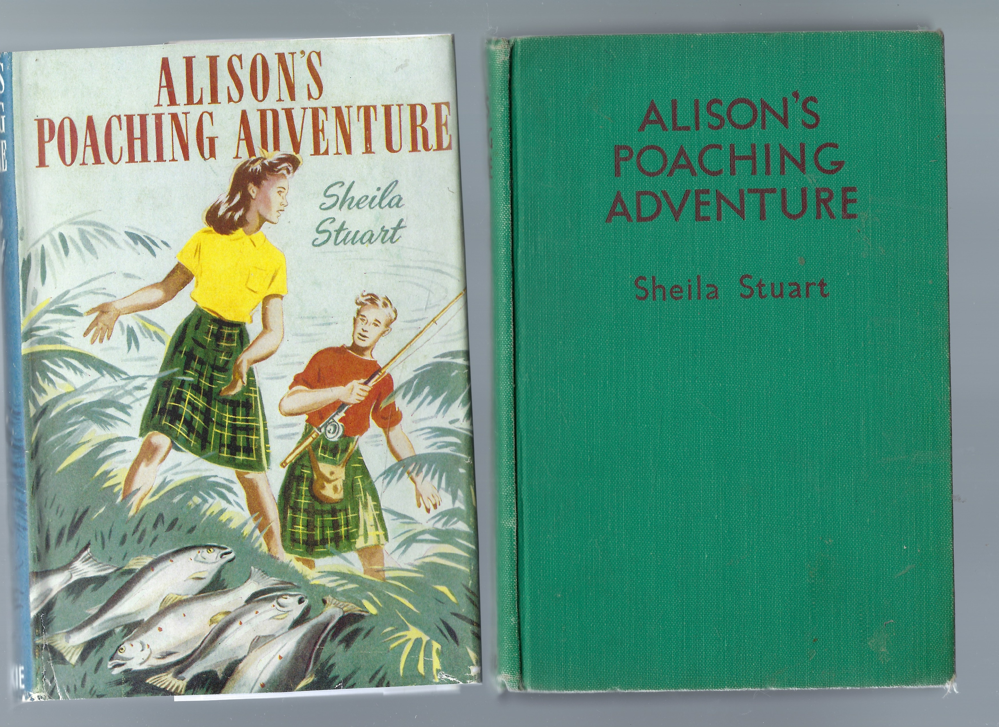 Image for Alison's Poaching Adventure Alison's Poaching Adventure