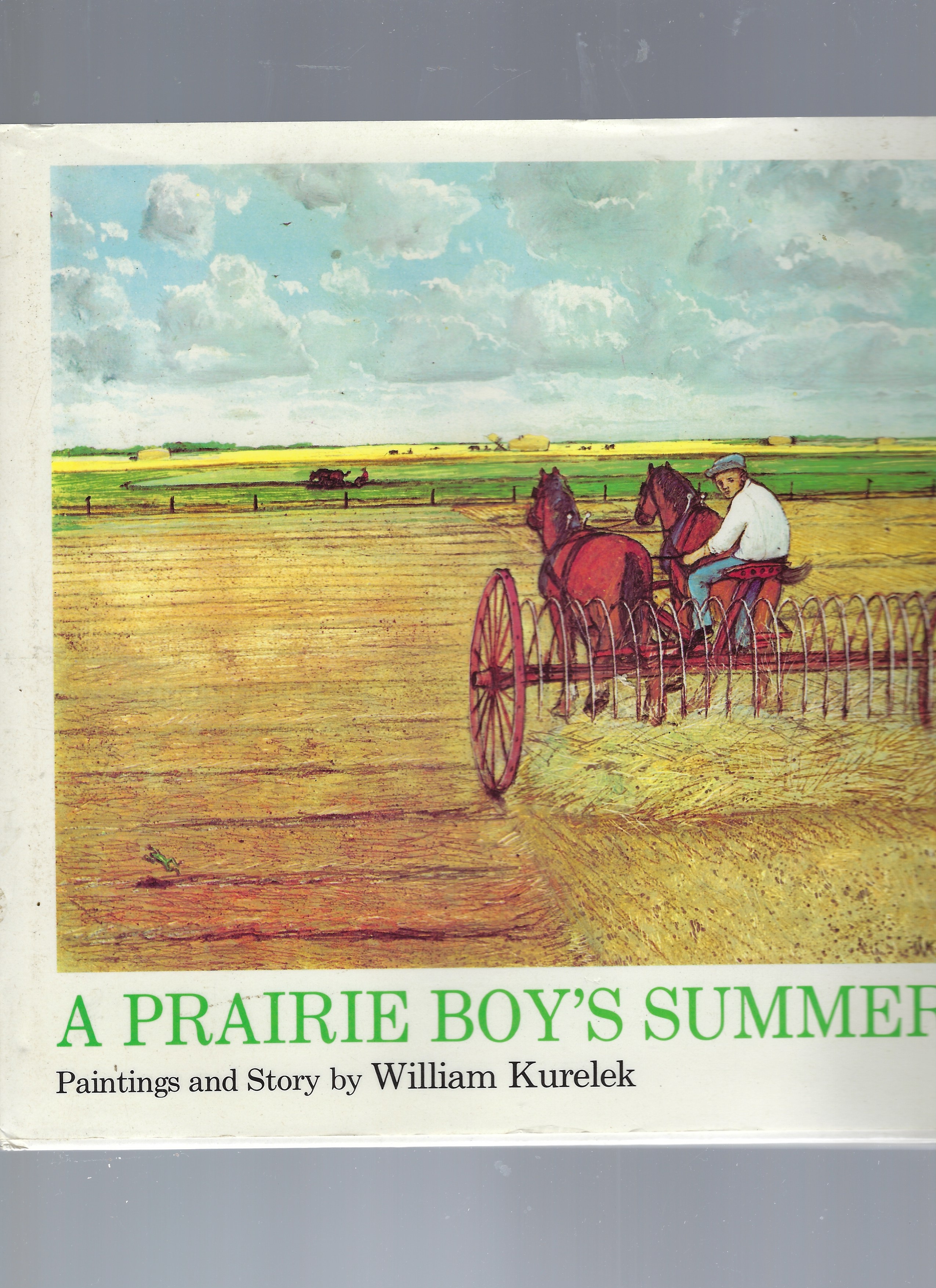 Image for A Prairie Boy's Summer A Prairie Boy's Summer