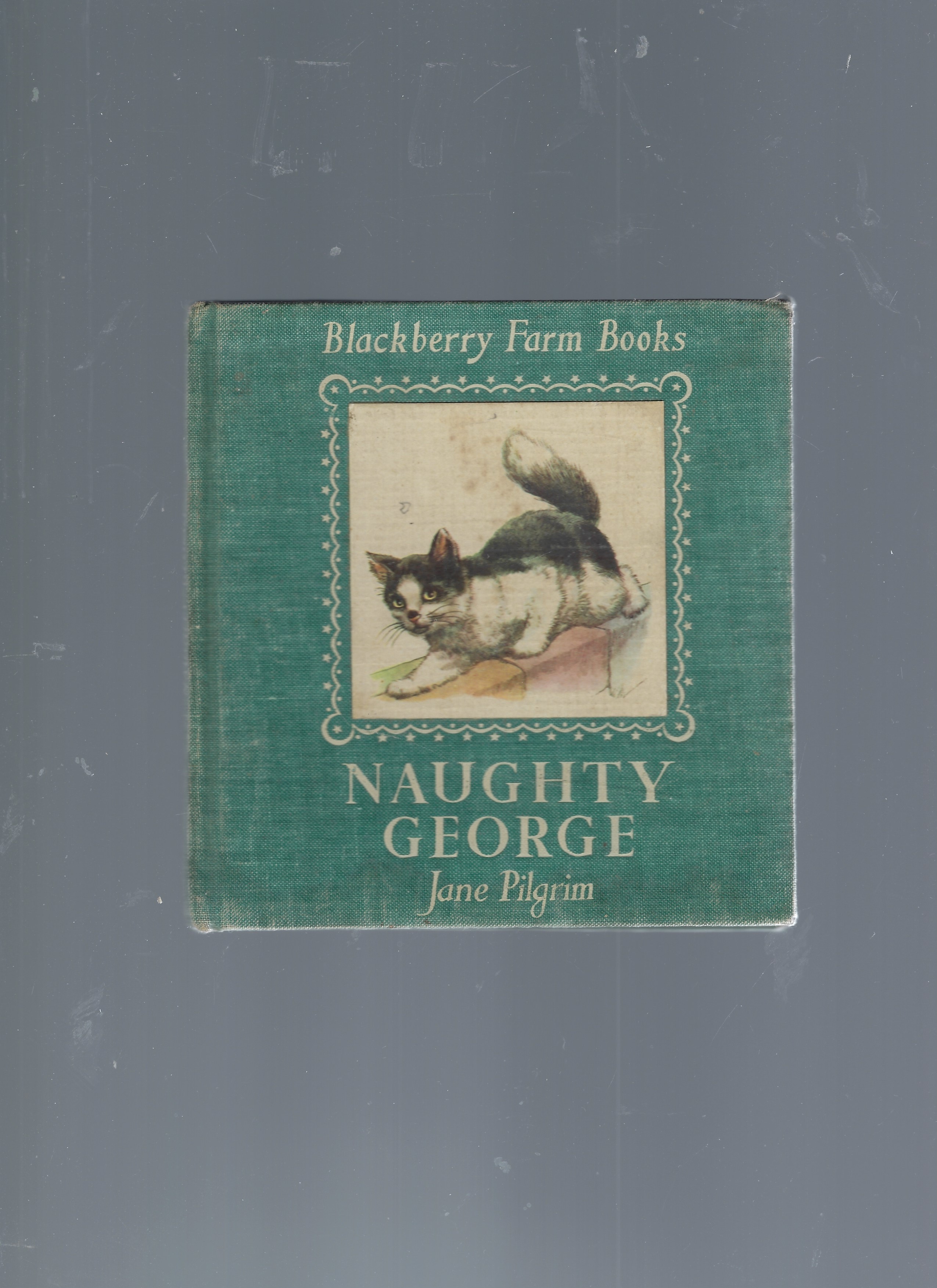 Naughty George - Blackberry Farm Books