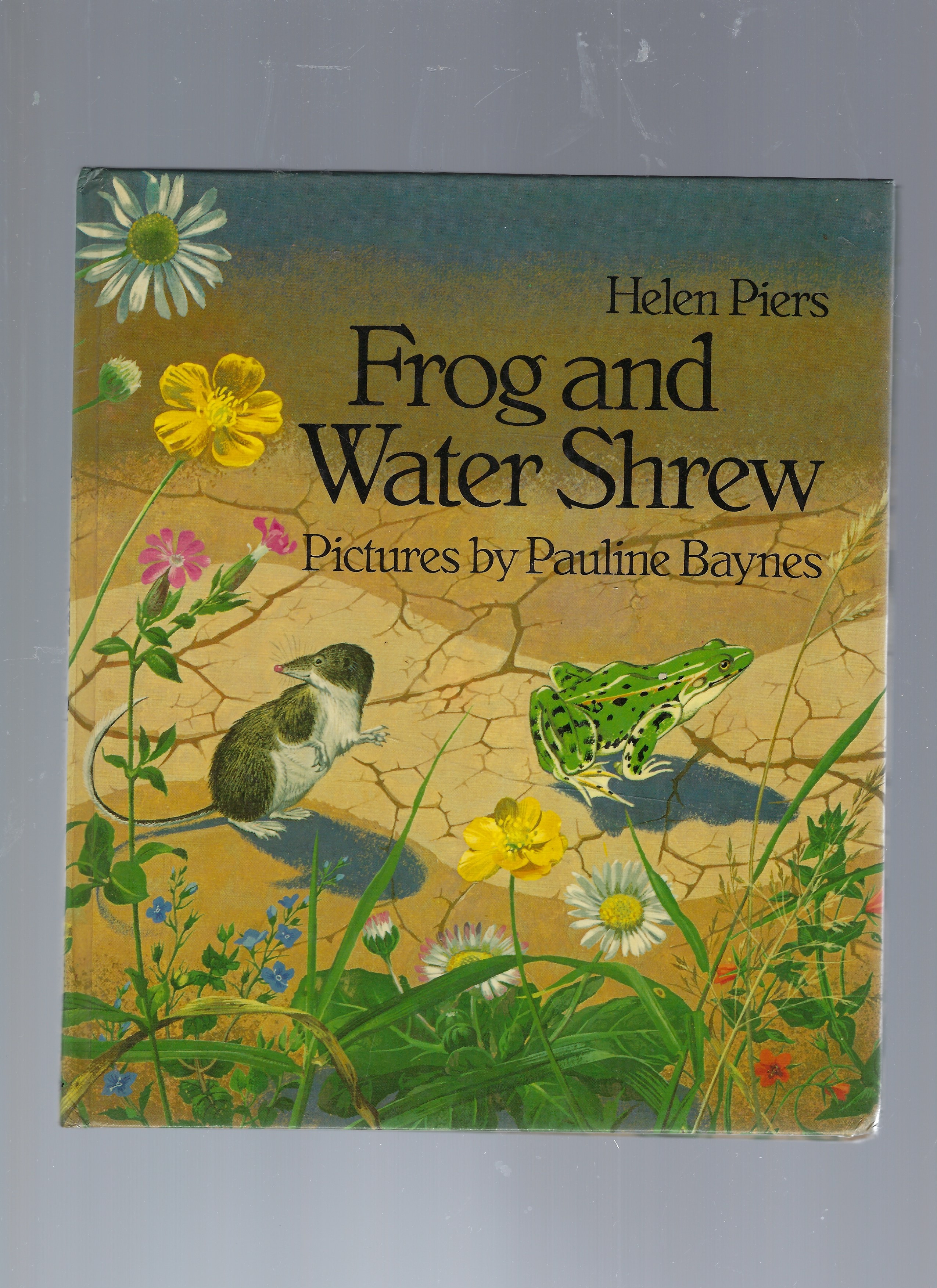 Image for Frog and Water Shrew Frog and Water Shrew