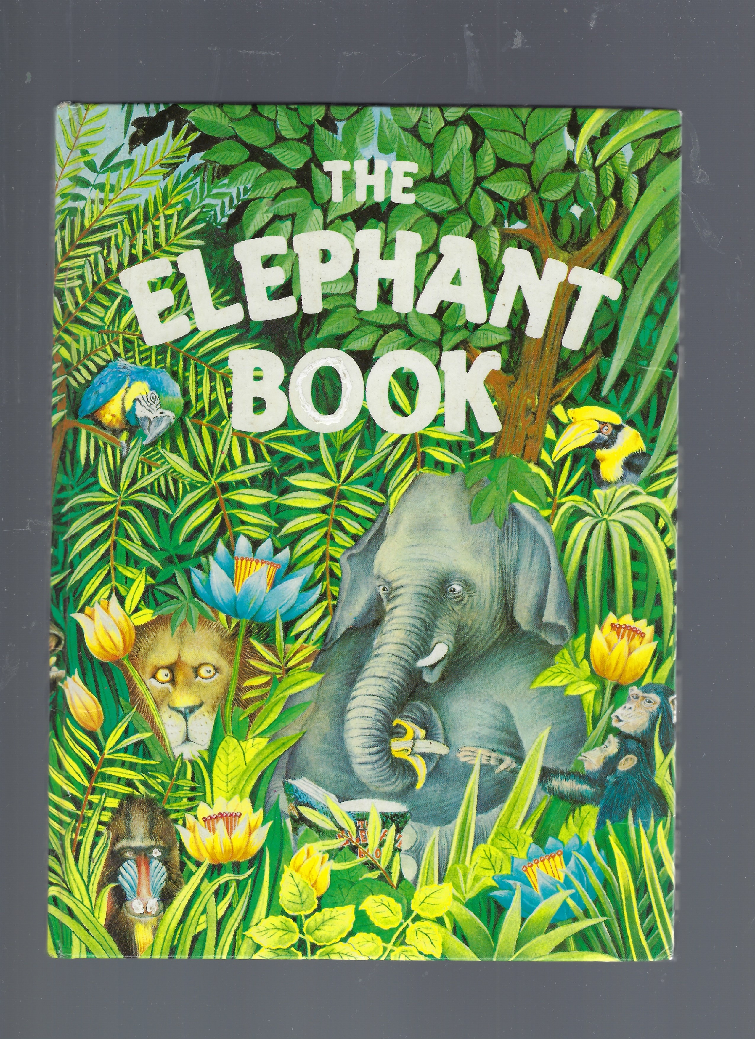 Image for The Elephant Book The Elephant Book