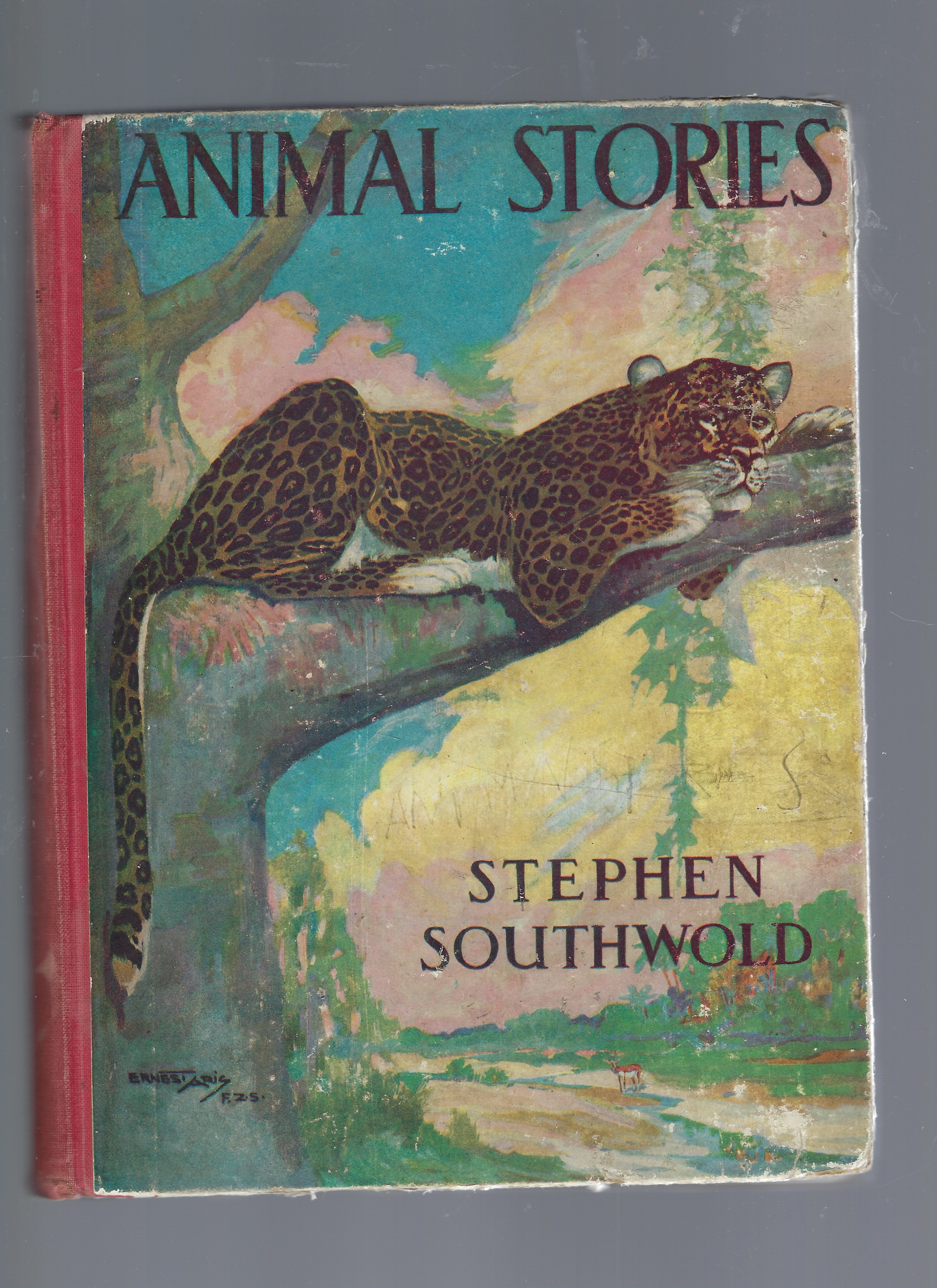 Animal Stories