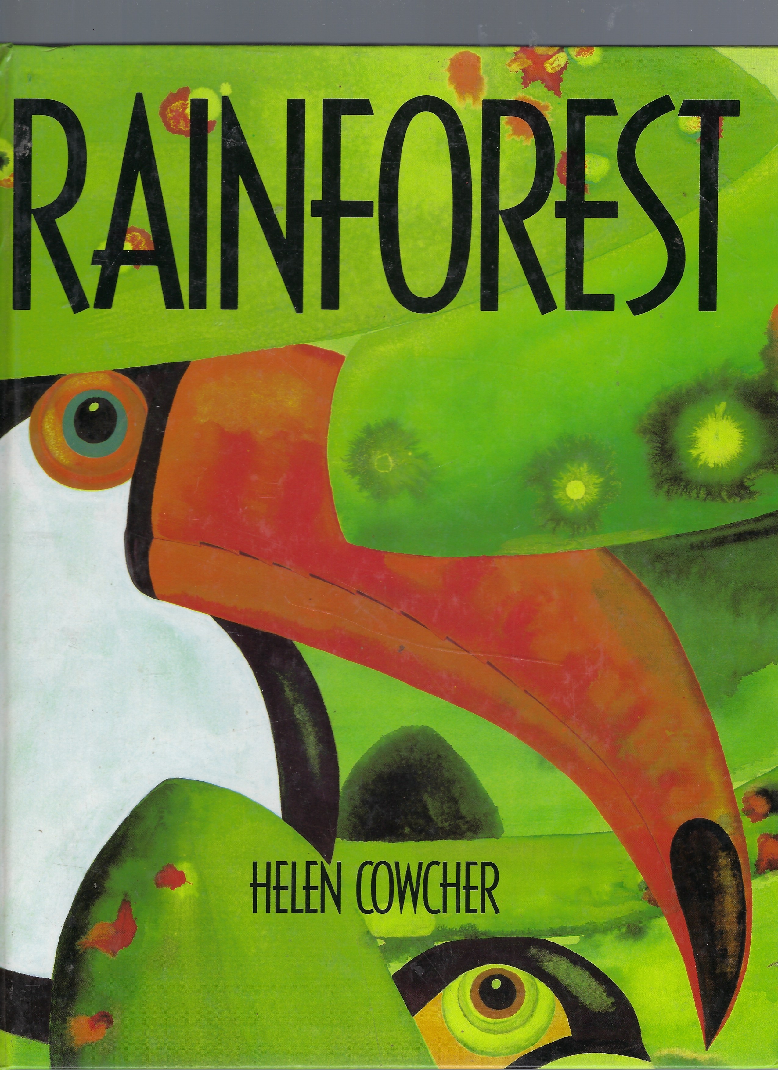 Rainforest