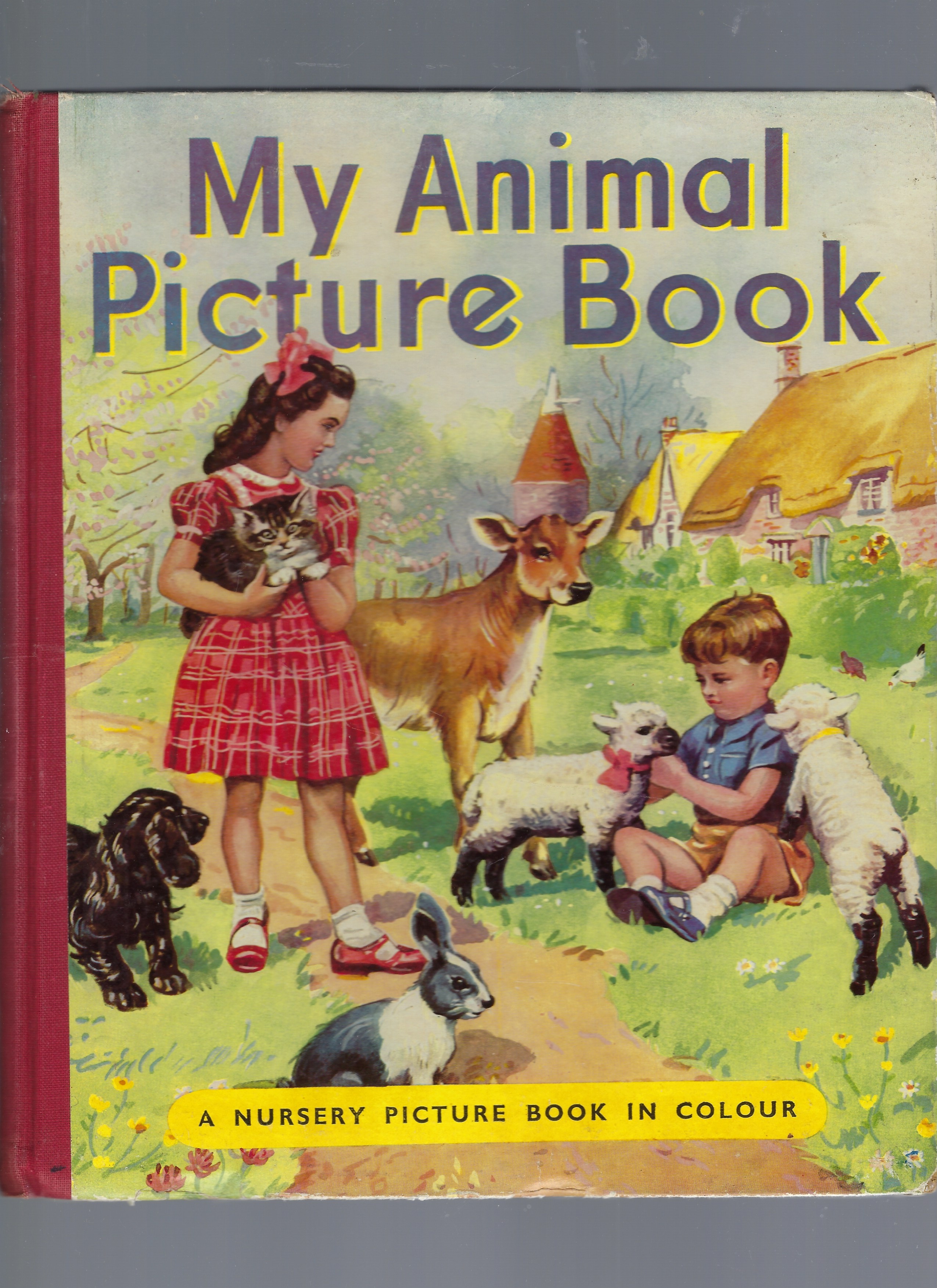 My Animal Picture Book