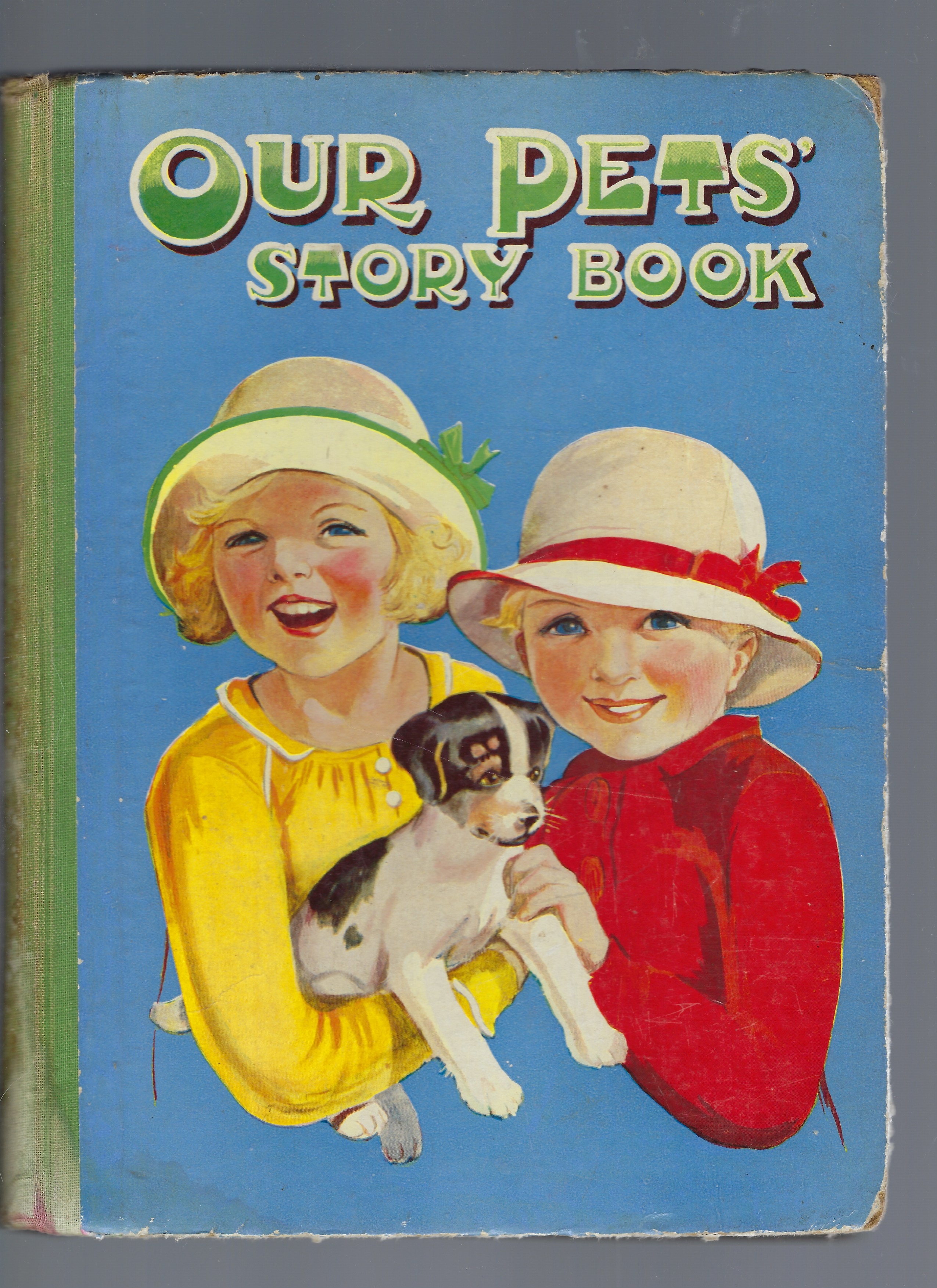 Image for Our Pets' Story Book Our Pets' Story Book