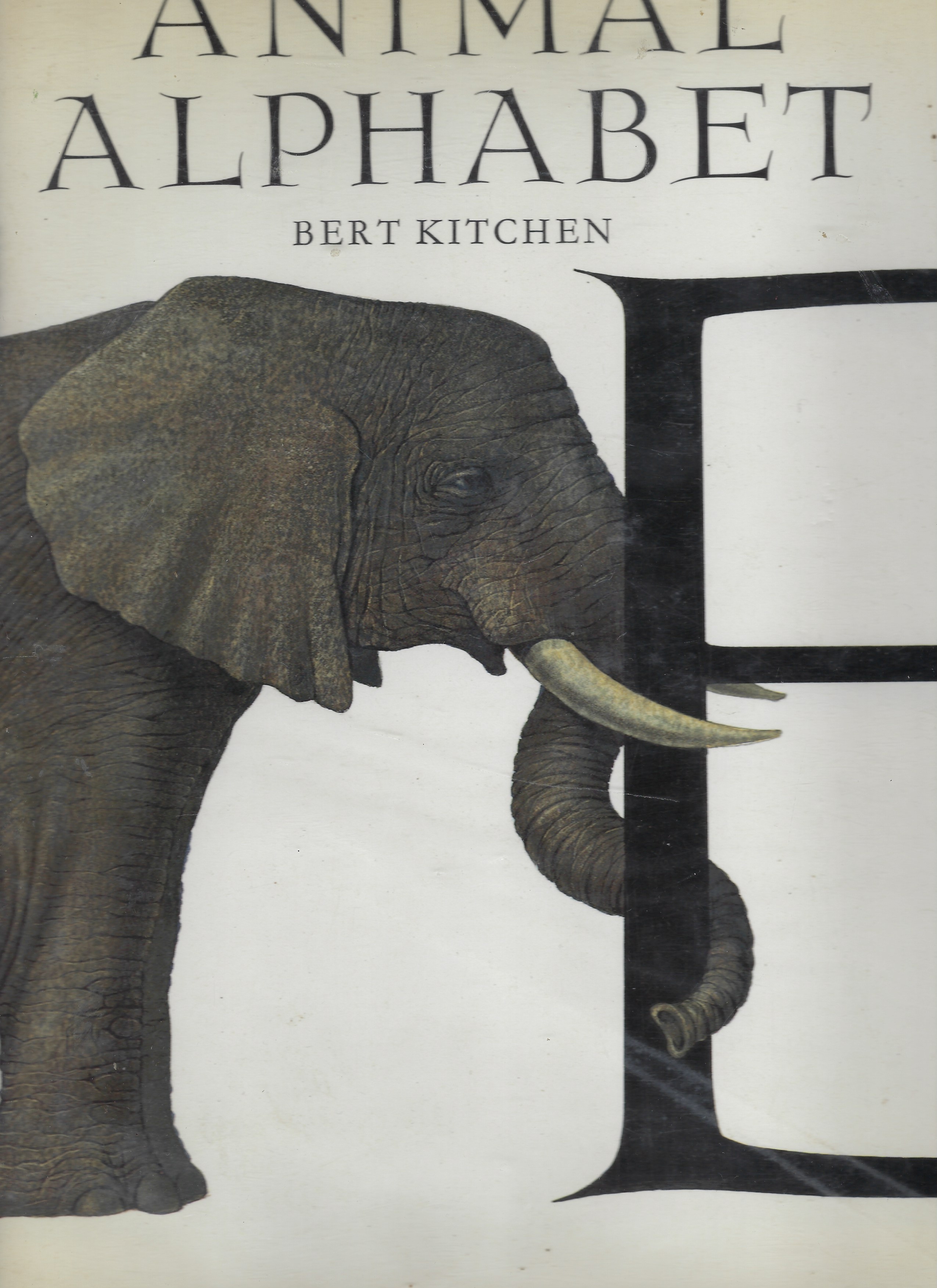 Image for Animal Alphabet. Animal Alphabet.