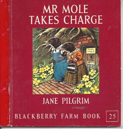 Mr Mole Takes Charge