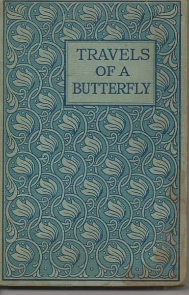 The Travels of a Butterfly - Illustrated Image for The Travels of a Butterfly - Illustrated