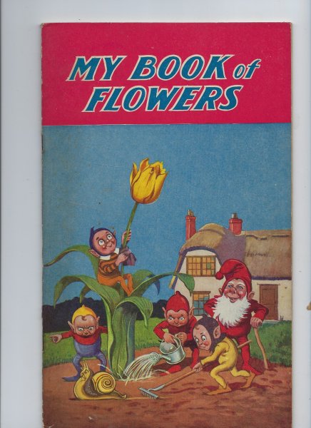 Image for My Book of Flowers
