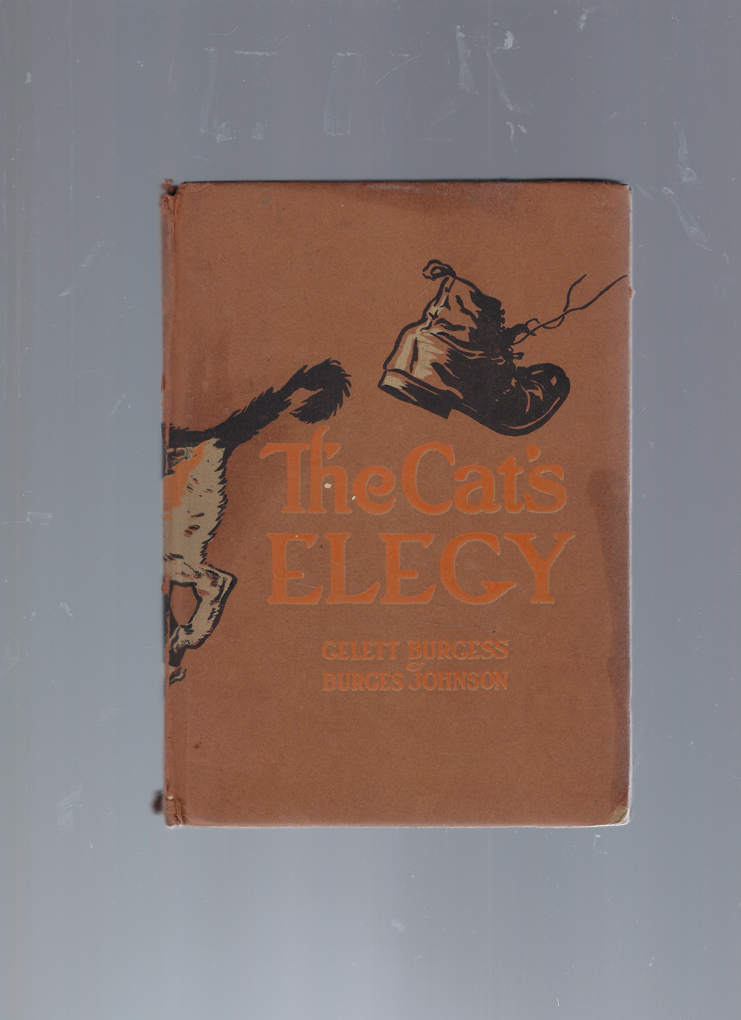 Image for The Cat's Elegy The Cat's Elegy